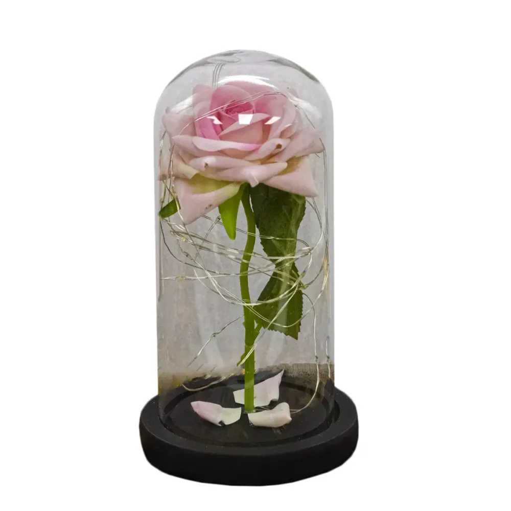 Aranjament floral cupola de sticla, lumina Led, D4007, Roz pal