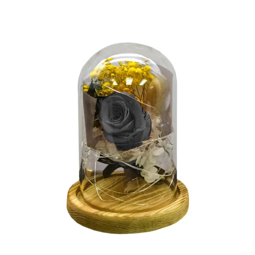 Aranjament floral cupola de sticla, lumina Led, D4016, Negru
