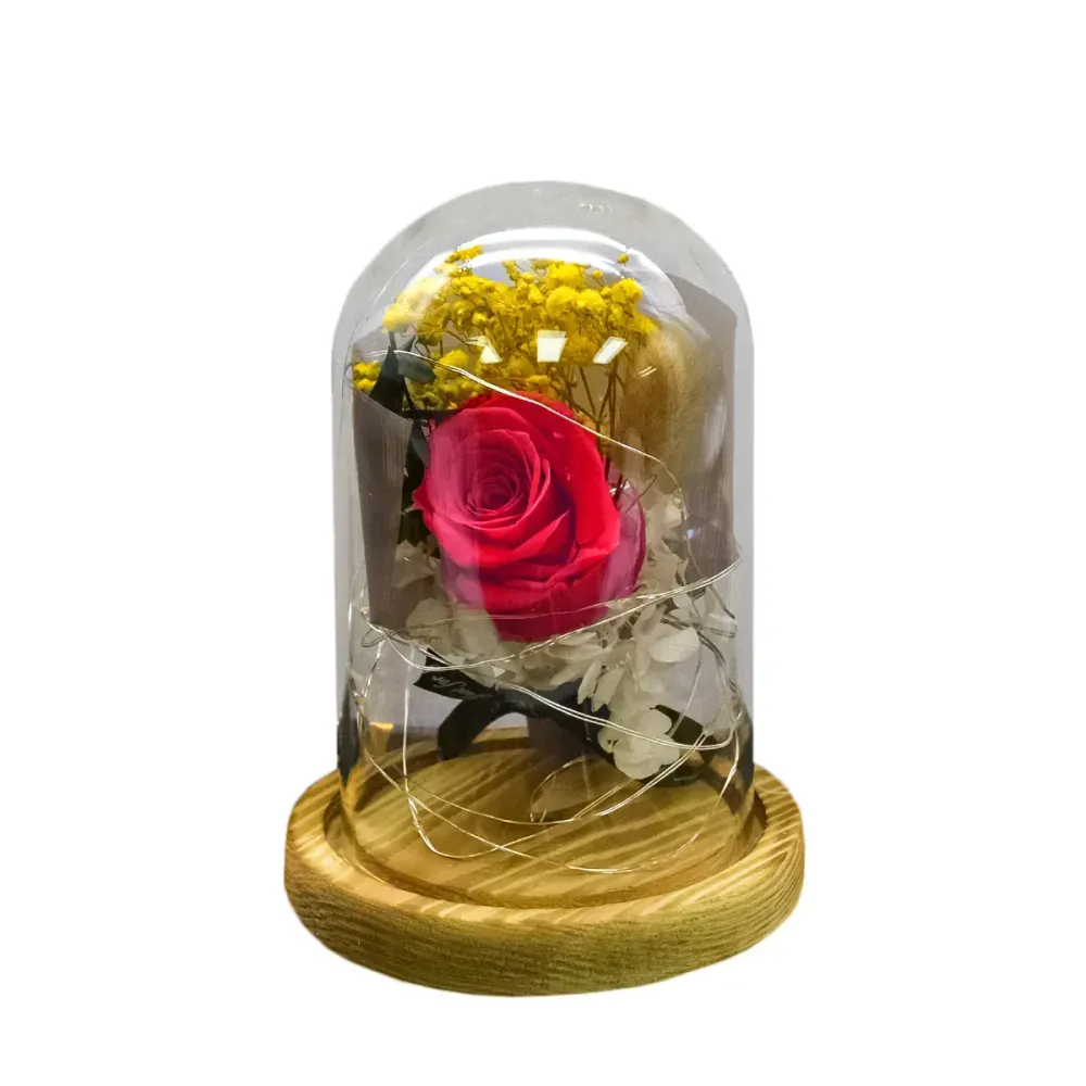 Aranjament floral cupola de sticla, lumina Led, D4016, Rosu