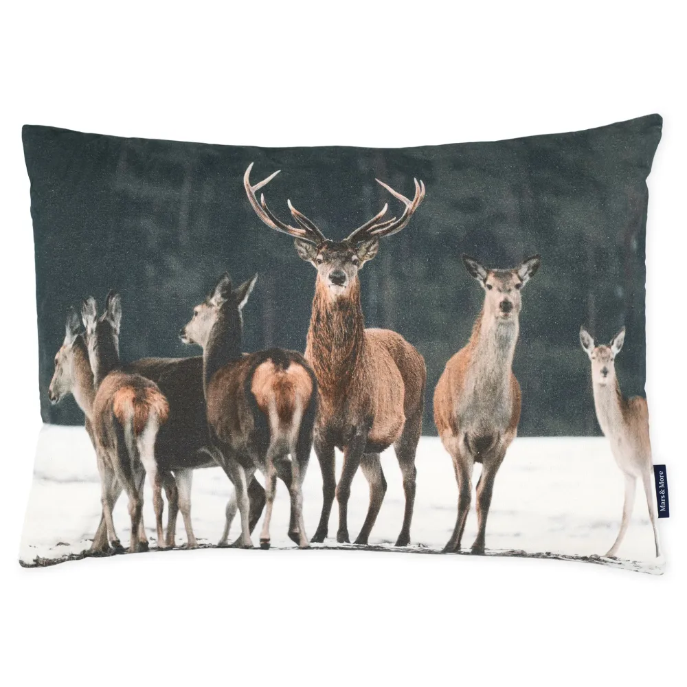 CERF Pernă decorativă, 40x60cm