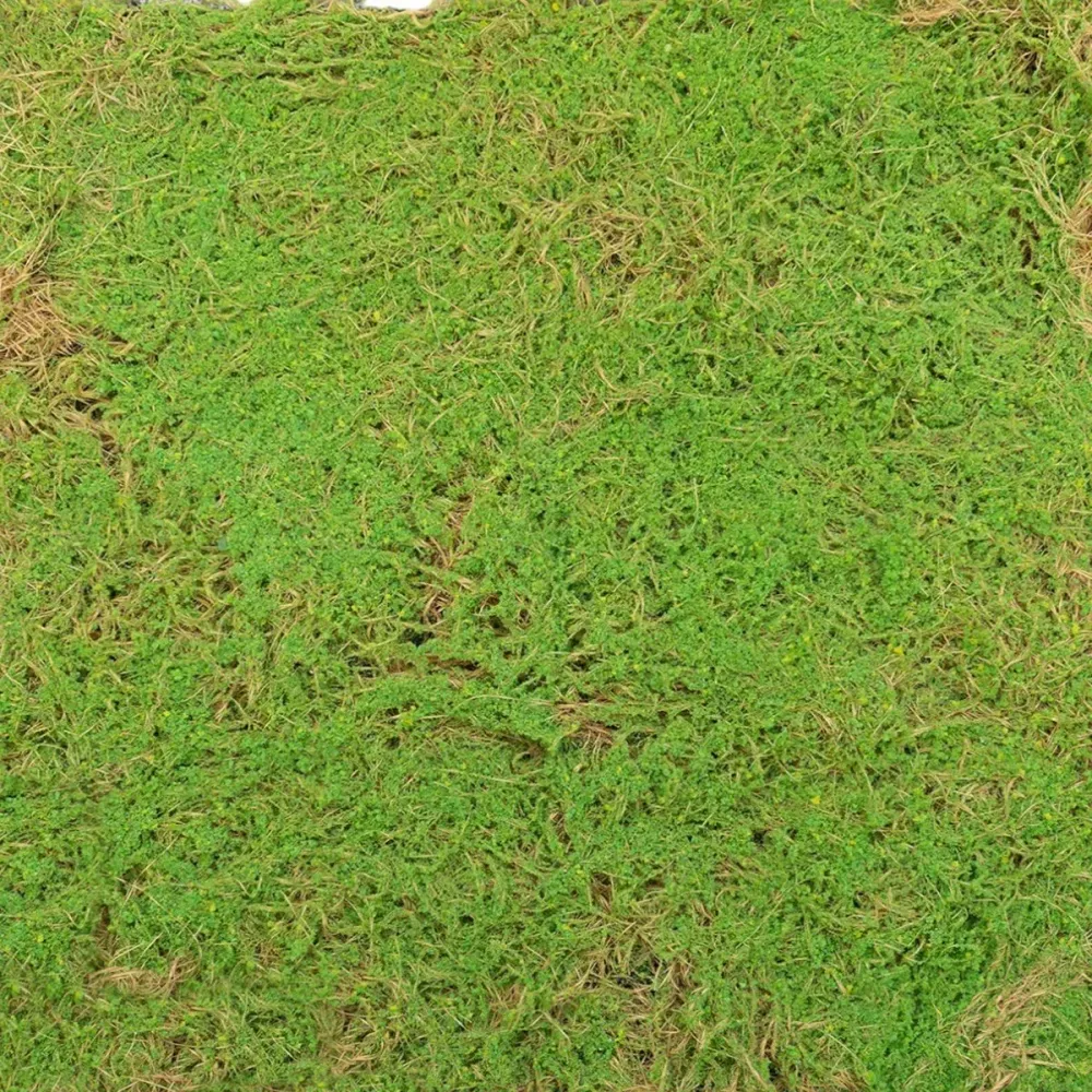 Covor muschi artificial de padure, Naimeed D6541, pentru decorare interioara sau exterioara, Verde, 1000x1000x20mm