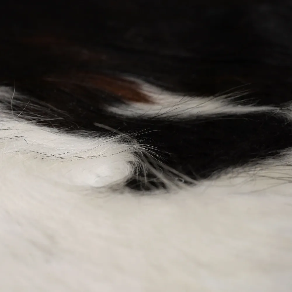 COW HIDE44 Covor cameră