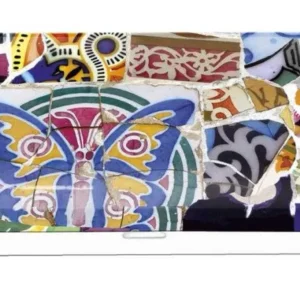 Etui ochelari Gaudi Detaliu, Fridolin