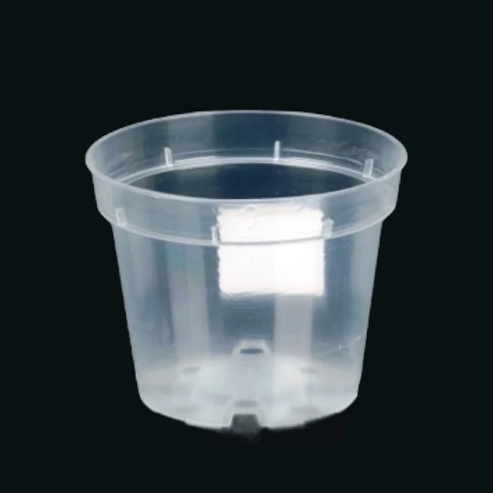 Ghiveci transparent D9 cm – ideal pentru orhidee, suculente si plante sensibile la udare