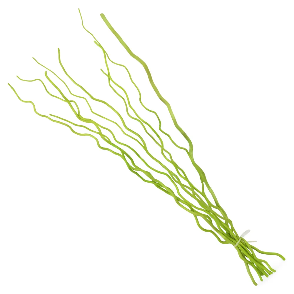 KUWA Ramură naturală