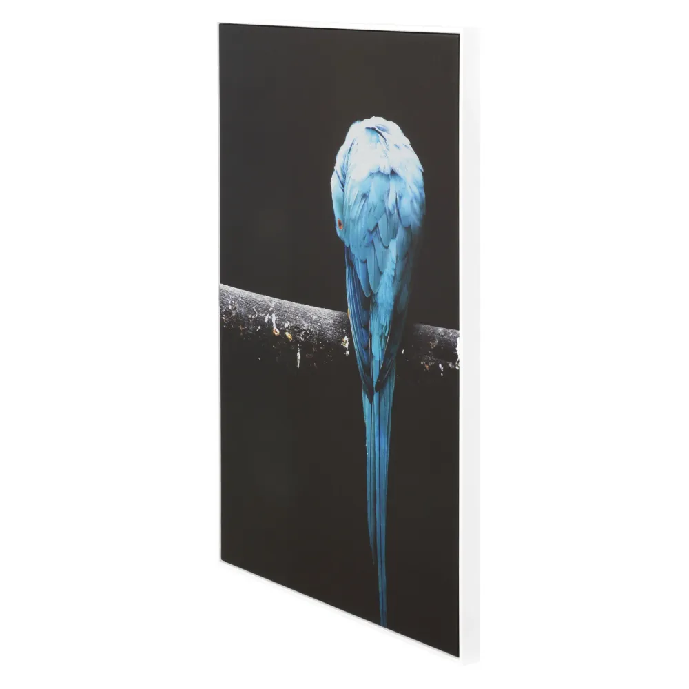 MACAW Tablou canvas
