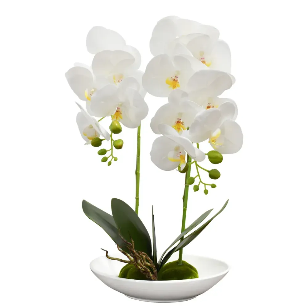 Orhidee cu aspect natural ghiveci ceramic, 49 cm, Naimeed D4852, Alb