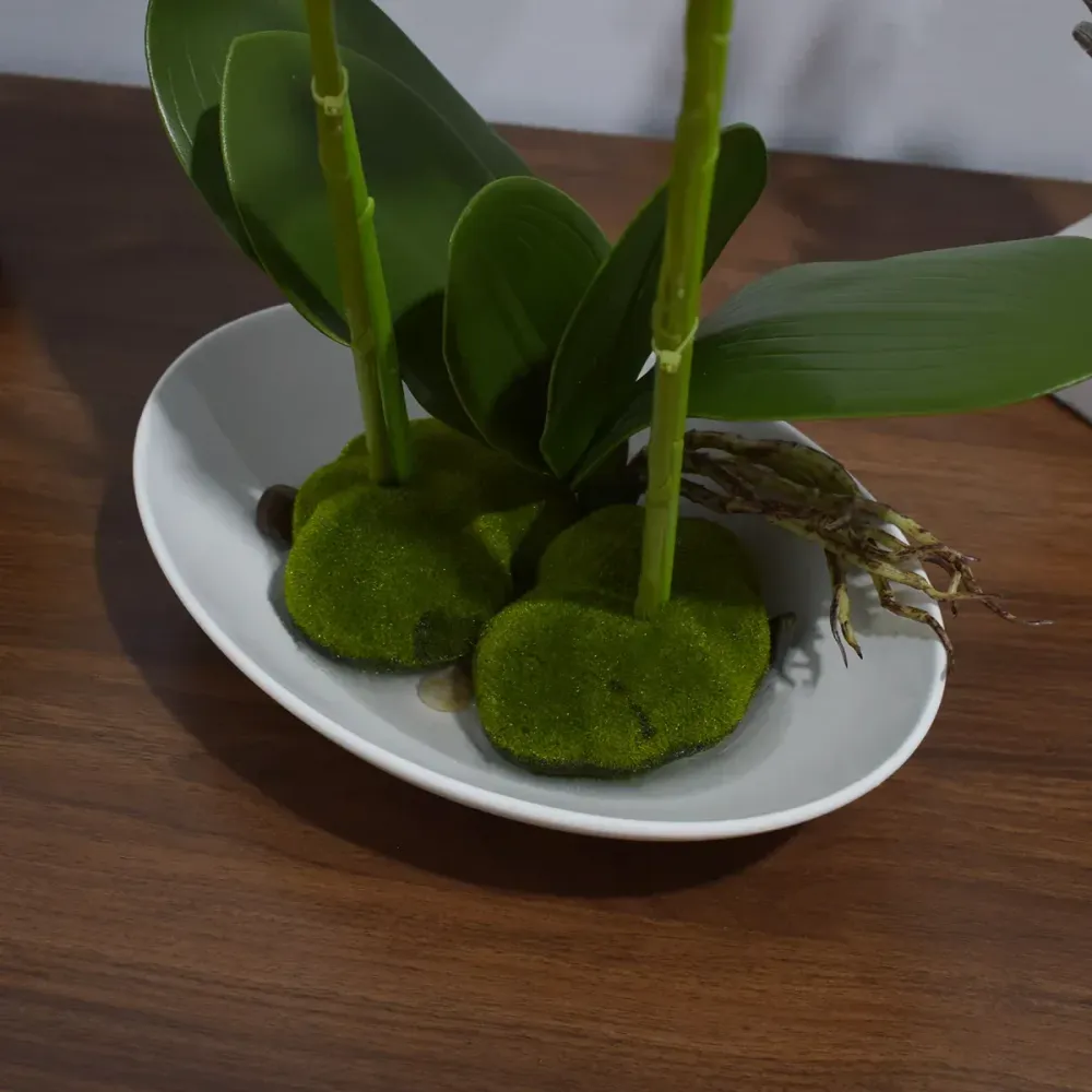 Orhidee cu aspect natural ghiveci ceramic, 49 cm, Naimeed D4852, Alb