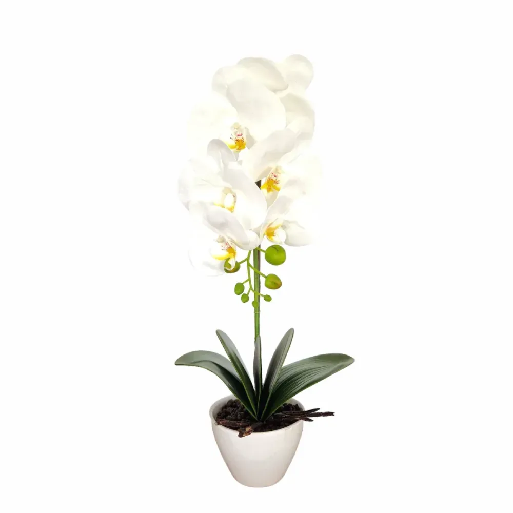 Orhidee cu aspect natural ghiveci ceramic, 46 cm, Naimeed D5820, Alb