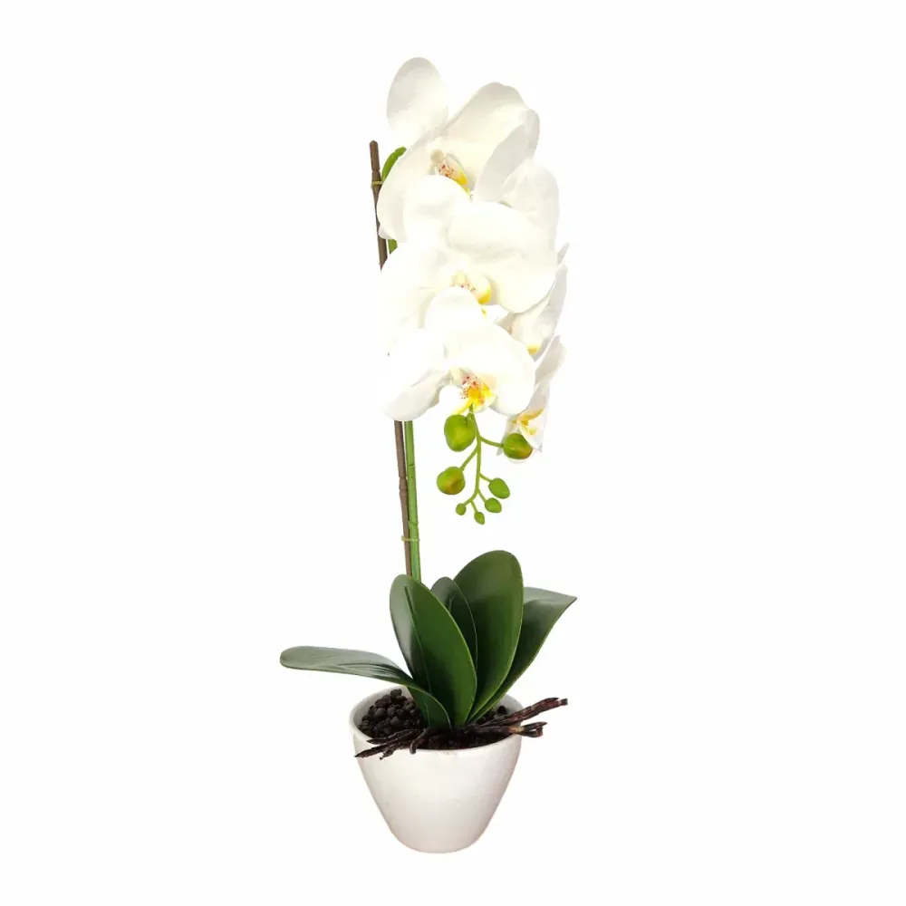 Orhidee cu aspect natural ghiveci ceramic, 46 cm, Naimeed D5820, Alb
