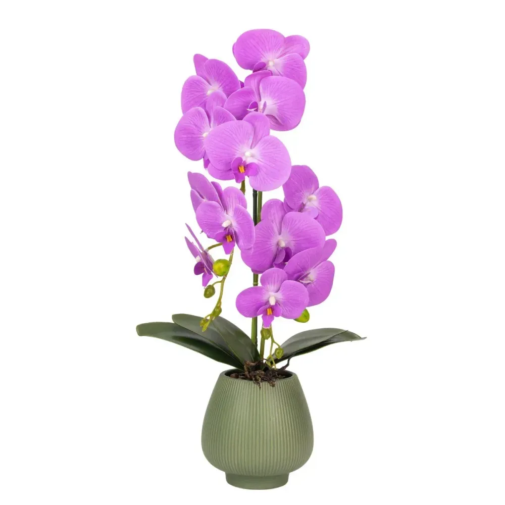 Orhidee cu aspect natural ghiveci ceramic, 80 cm, Naimeed D6906, Mov/Verde