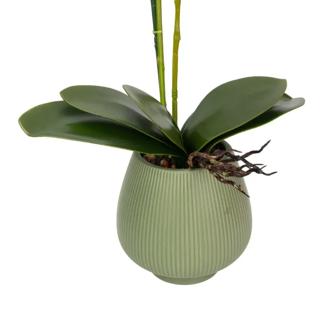 Orhidee cu aspect natural ghiveci ceramic, 80 cm, Naimeed D6906, Mov/Verde