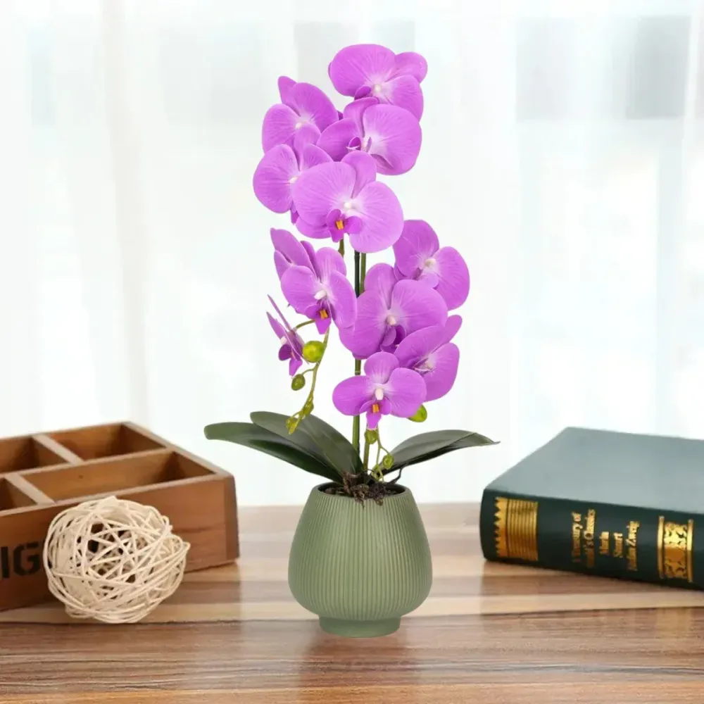 Orhidee cu aspect natural ghiveci ceramic, 80 cm, Naimeed D6906, Mov/Verde