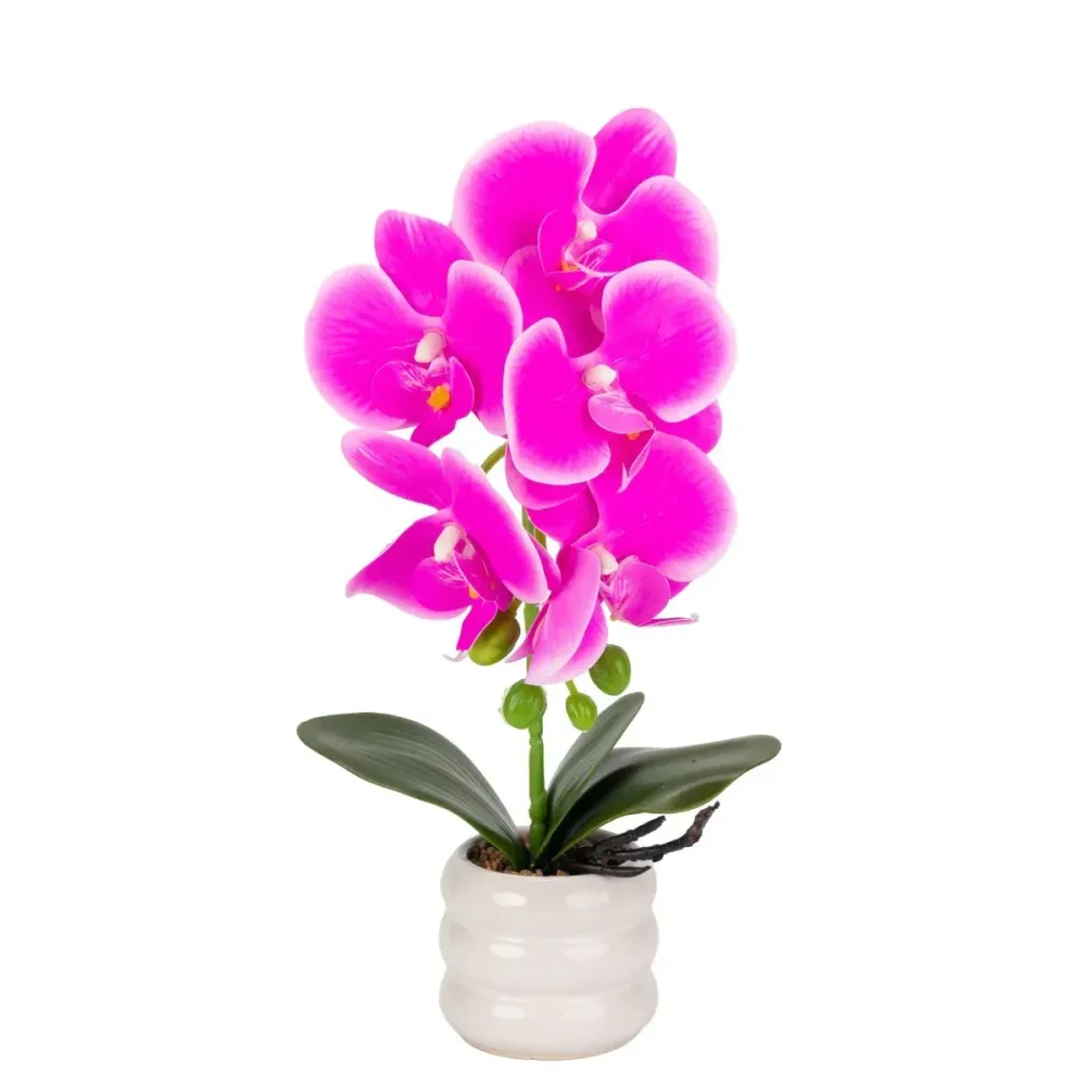 Orhidee cu aspect natural ghiveci ceramic, 40 cm, Naimeed D6889, Fucsia