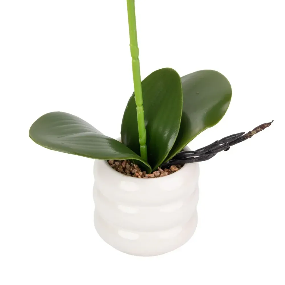 Orhidee cu aspect natural ghiveci ceramic, 40 cm, Naimeed D6889, Fucsia