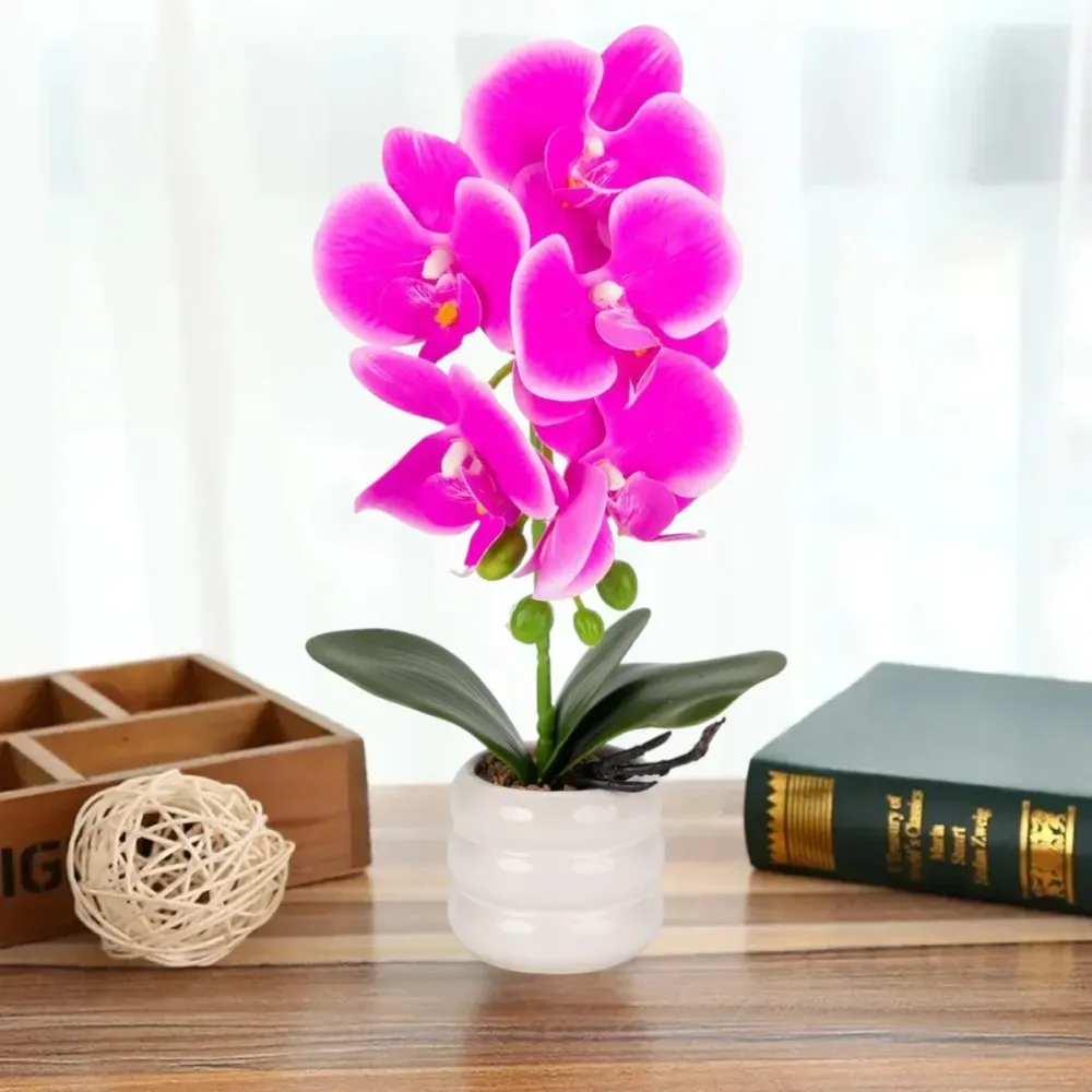 Orhidee cu aspect natural ghiveci ceramic, 40 cm, Naimeed D6889, Fucsia