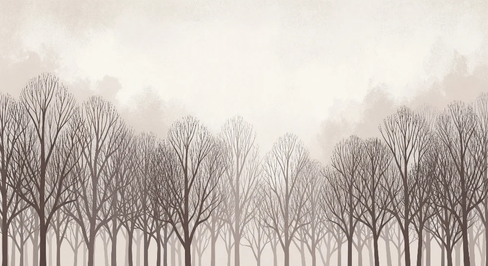 Papel de parede crianç | Pădure ceață cu arbori eleganți
