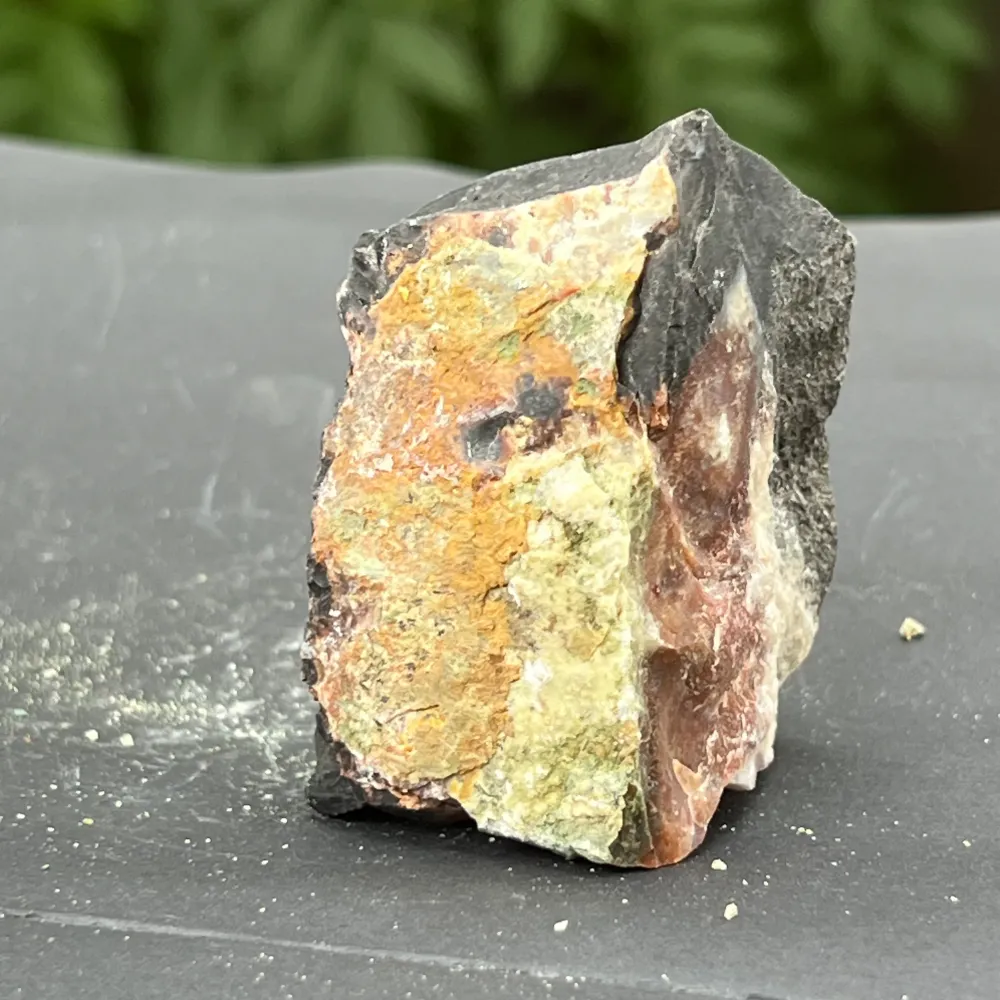 Sardonix India piatra bruta m19