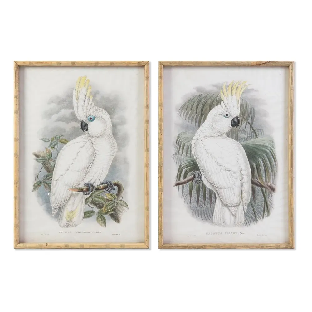 Tablou DKD Home Decor 50 x 2,8 x 70 cm Colonial Papagal (2 Unități)