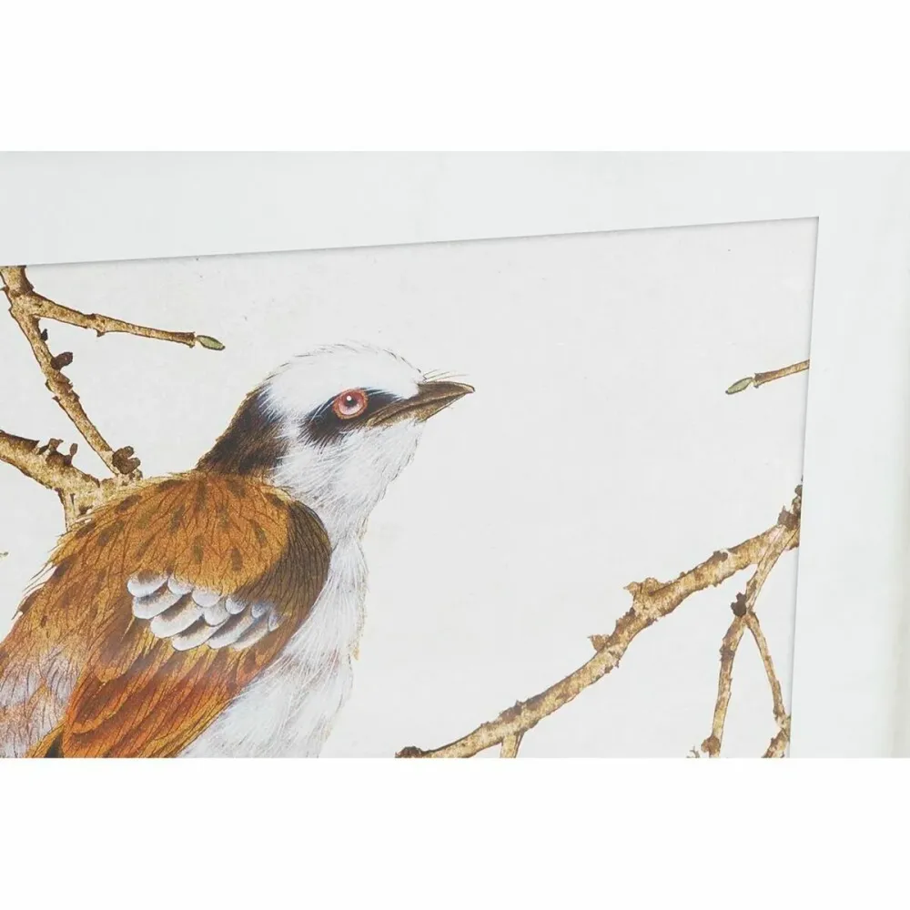 Tablou DKD Home Decor Pasăre Shabby Chic 60 x 2,5 x 60 cm (4 Unități)