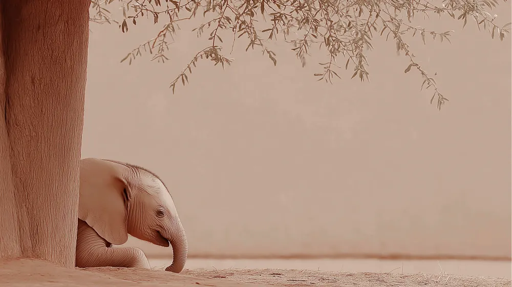 Tapet camera bebeluși | Eleganț unui elefant sub un copac