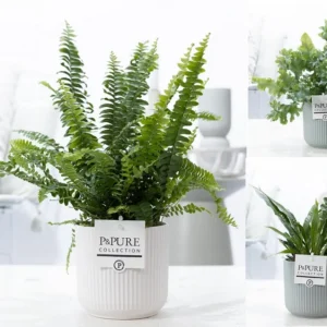 Vas decorativ din ceramica alb Sophie White D13