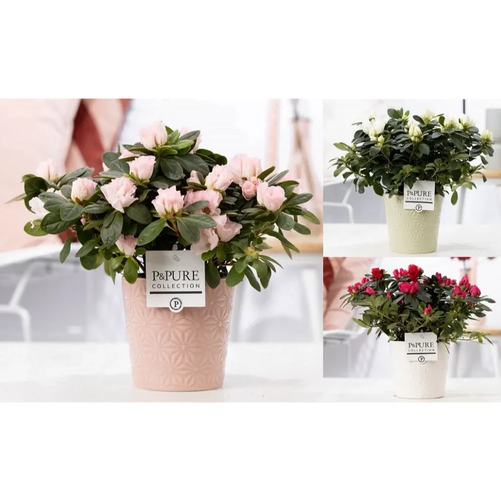 Vas decorativ din ceramica verde Juliette D13