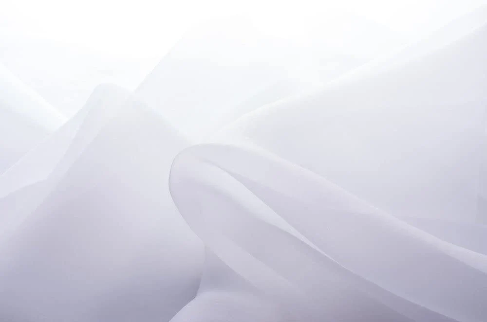 Perdea Voile Mass-Gardinen-Shop 210x260 cm